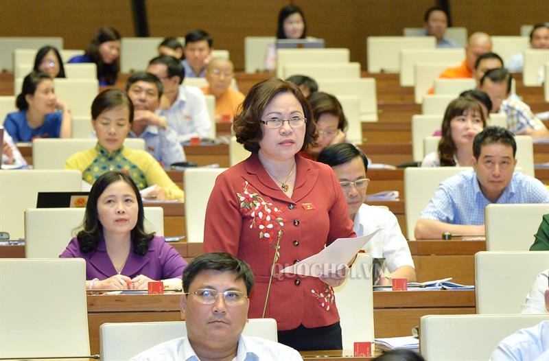 Đại biểu Ngô Thị Minh (Quảng Ninh)