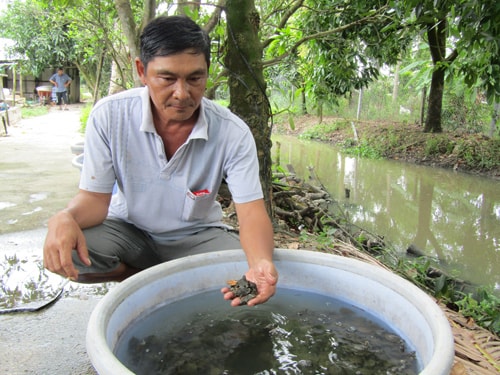 Anh Quang giới thiệu về kinh nghiệm nuôi ba ba thịt, ba ba sinh sản và ươm nuôi ba ba giống.