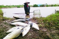 Hỗ trợ thiệt hại thiên tai ở tỉnh Thái Bình: Hai năm tiền chưa đến tay dân!? Kỳ I: Mòn mỏi chờ hỗ trợ