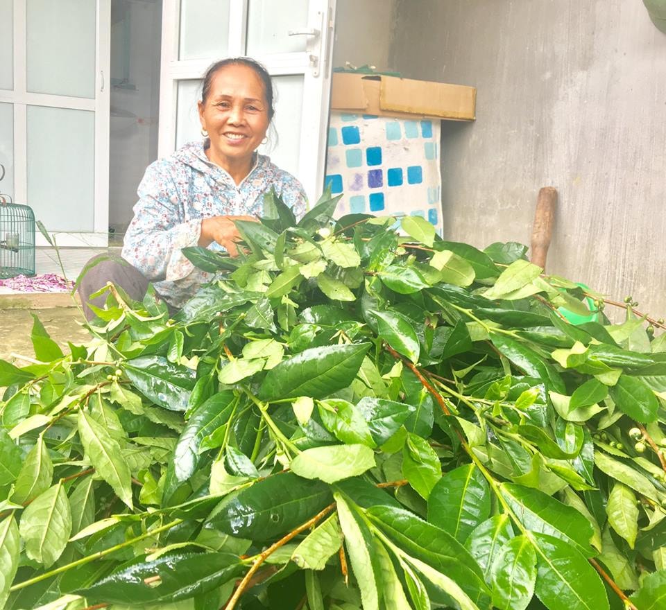 Thời gian tới bà Nhiên mong muốn mở rộng thị trường tiêu thụ sản phẩm lá chè xanh sạch, an toàn, đến được nhiều người tiêu dùng.