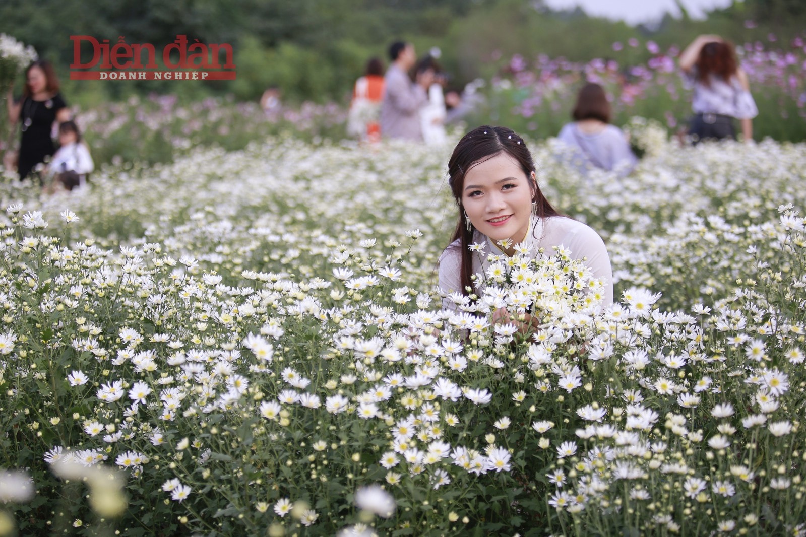 Là loài hoa sớm nở chóng tàn, trong thời gian này là thời điểm đẹp nhất để lưu giữ những bộ ảnh đẹp.