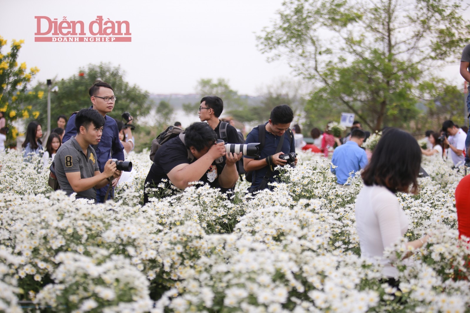 Các nhiếp ảnh gia hy sinh hết mình, chọn các góc đẹp nhất để sáng tạo những bức ảnh đẹp.