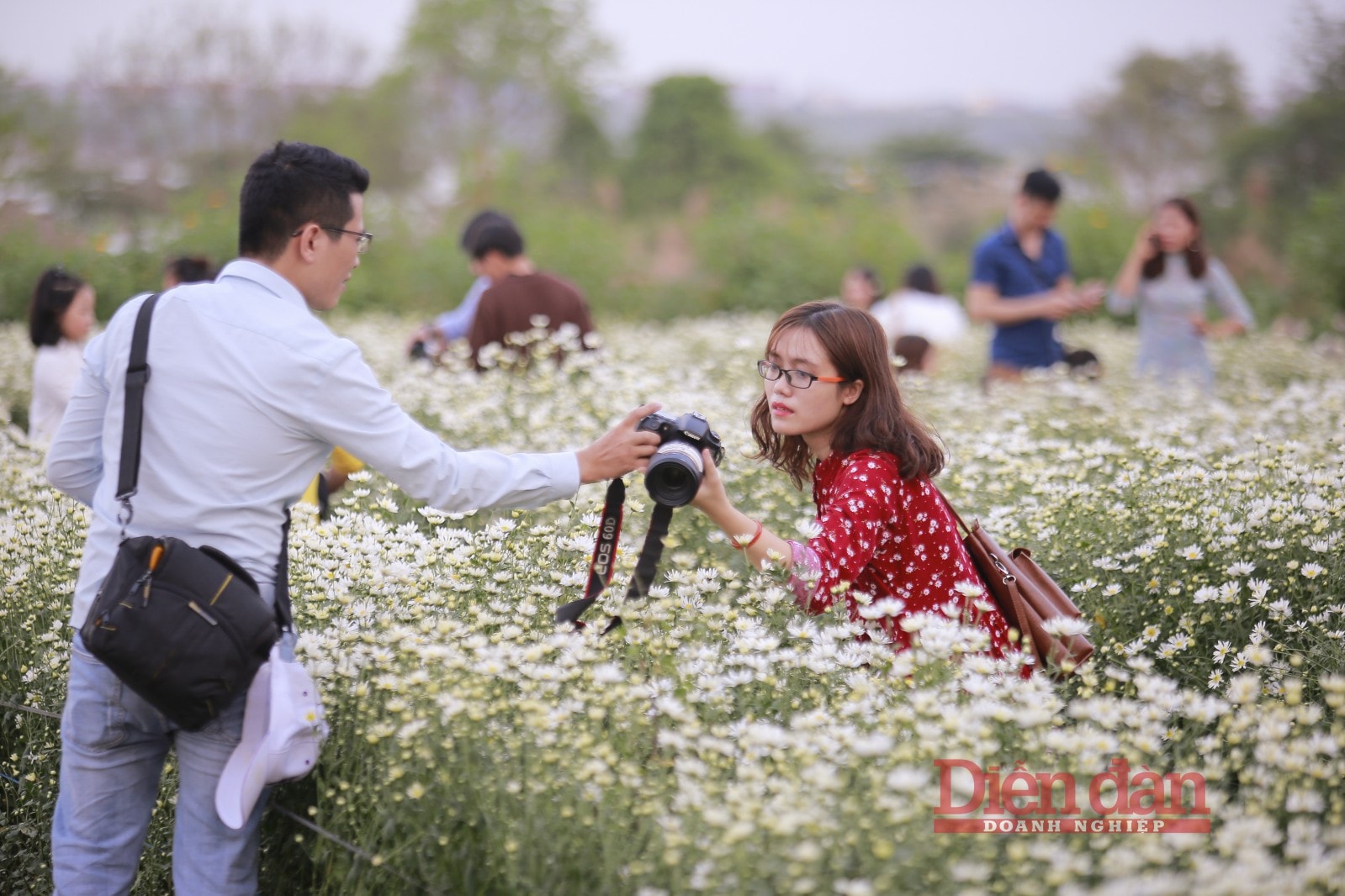 Theo bạn Thọ chia sẻ, là lần thứ 2 qua nơi đây chụp ảnh, thời gian này là thời gian hoa tươi và đẹp nhất nên lượng người đông hơn đợt trước, việc chụp ảnh cũng có phần khó khăn hơn nhiều.