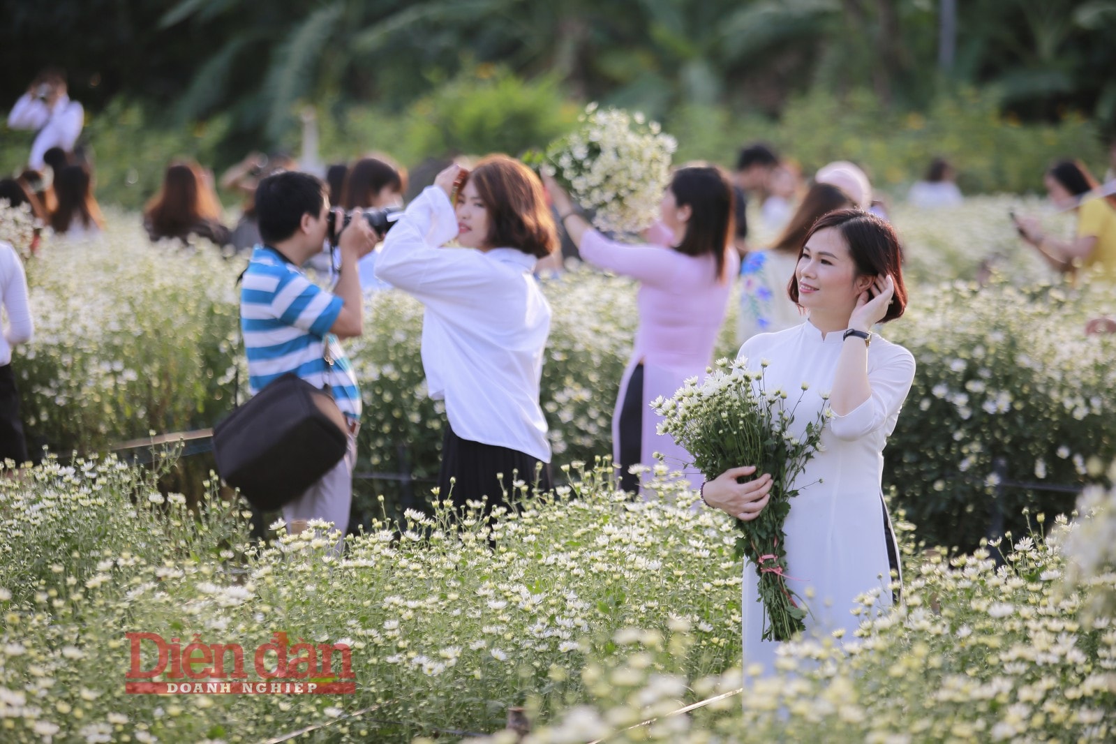 Được biết, những bó hoa được bán ở trong vườn phục vụ các vị khách tới chụp ảnh giá chỉ cao hơn 1 chút so với mua ở bên ngoài, giá dao động từ 10.000đ đến 20.000đ/bó.