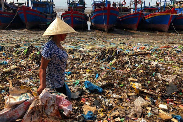 Kiểm soát thông tin về môi trường bằng phần mềm đa phương tiện có nhiều nội dung và tính năng tích hợp