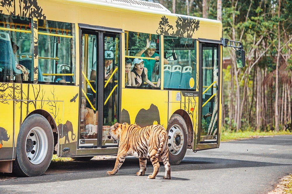 Khám phá môi trường sống mở của các loài động vật bán hoang dã trong rừng nguyên sinh sẽ khơi gợi cảm hứng cho các thành viên