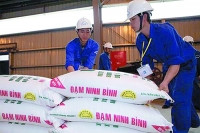 Đạm Ninh Bình: “Tồn tại hay không tồn tại”?