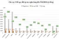 Chưa nên chấm dứt cho vay ngoại tệ
