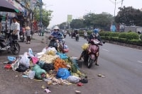 TP.HCM: Phạt tiền nếu không phân loại rác đúng quy định