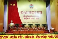 5 nhiệm vụ trọng tâm phát triển Hội Nông dân Việt Nam