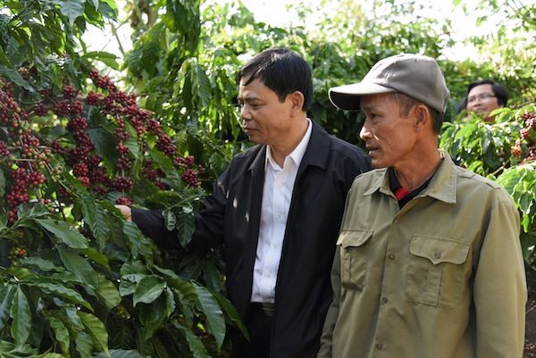 Bộ trưởng Bộ NN& Phát triển Nông thôn thăm vườn cà phê tại hộ nông dân Nguyễn Đăng Tỉnh thị trấn Nam Ban-Lâm Hà-Lâm Đồng 