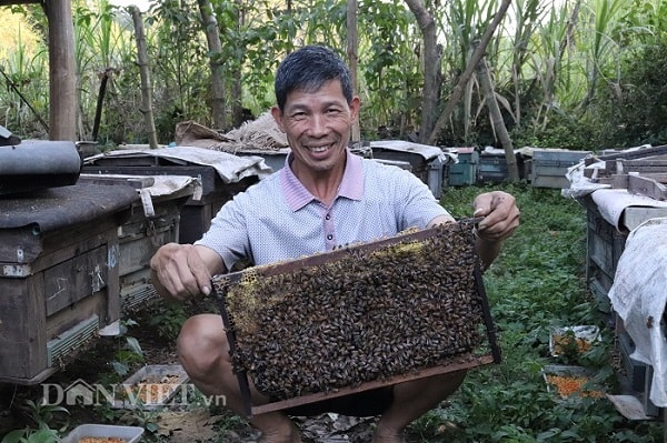 Từ nuôi ong lấy mật, ông Thượng có cuộc sống khấm khá so với trồng ngô.