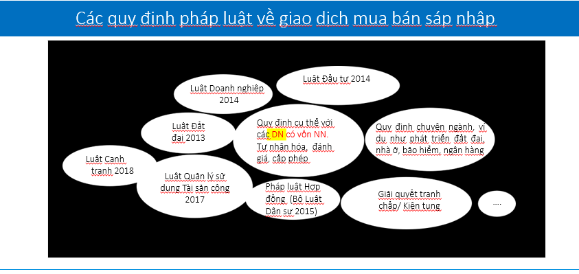 Các quy định