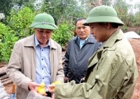 “Phải coi OCOP là một chương trình kinh tế”