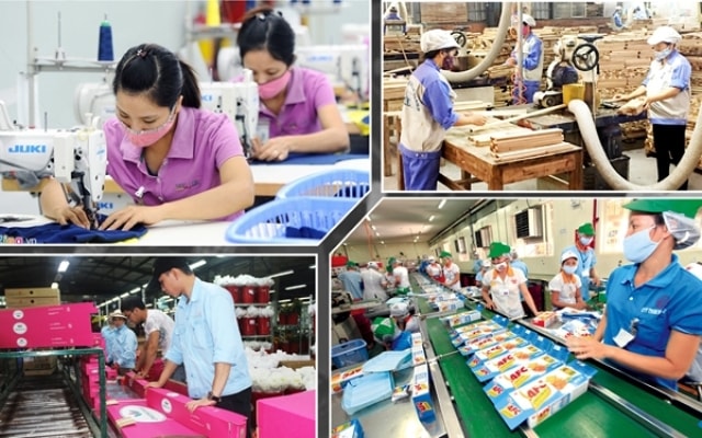 Việt Nam vẫn có tiềm năng và dư địa để đạt mục tiêu tăng trưởng mà Chính phủ đặt ra trong năm 2019, đặc biệt trong lĩnh vực nông nghiệp và xuất khẩu.