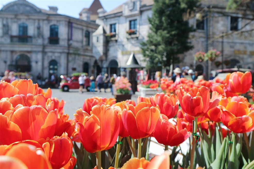 Sun World Ba Na Hills 