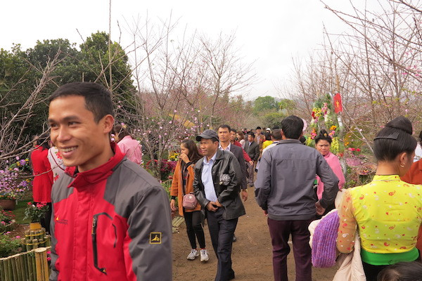 Hơn 3 nghìn du khách trong và ngoài tỉnh đếnp/Lễ Hội Hoa Anh Đào - Pa Khoang Điện Biên 