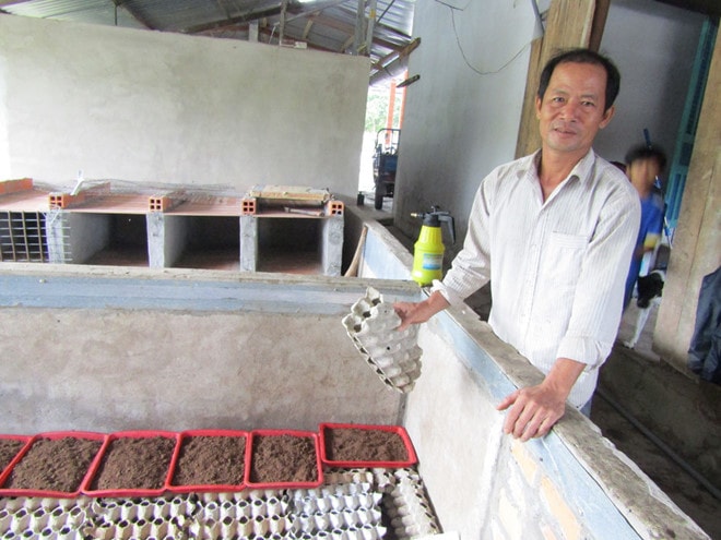 Ông Hiền bên chậu nuôi dế Thái; ảnh Trương Thanh Liêm