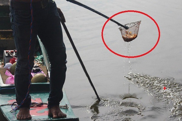 Những hình ảnh phản cảm và không mấy đẹp mắt khi người dân thả cá tiễn ông Táo về trời, thì dưới sông đã có người túc trực sẵn, dùng điện để đánh bắt cà là hành động khó có thể chấp nhận.
