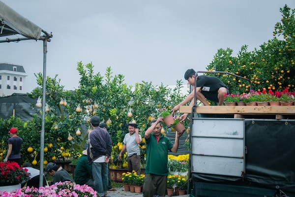 Người dân vận chuyển hoa đến hội chợ
