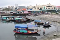 Vịnh Hạ Long - “cô gái đẹp kém duyên” (Kỳ I): “Mỡ treo, mèo... nhịn đói”
