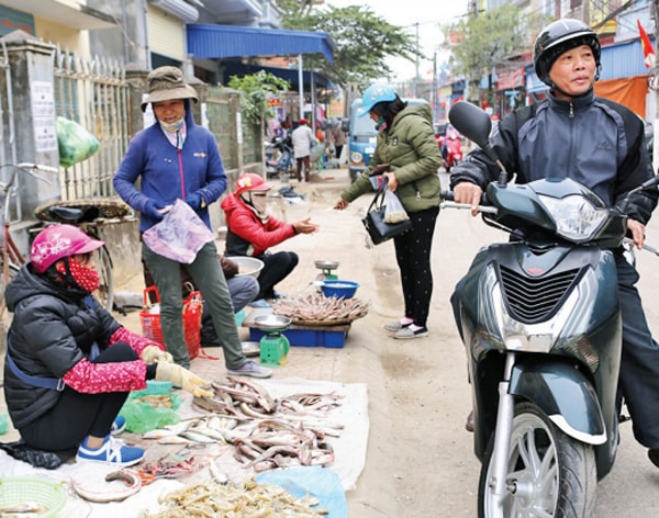 Nếp sinh hoạt yên bình của người dân trên đảo Cát Hải. Ảnh: Việt Hòa