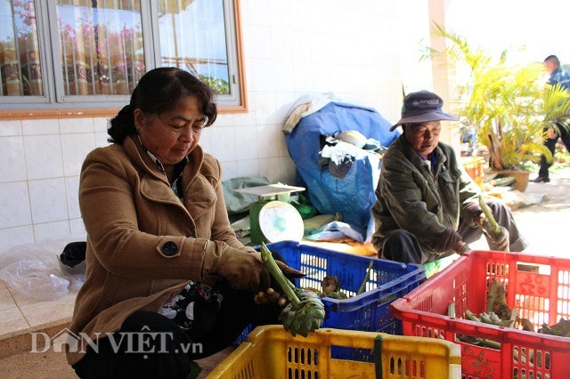 Bố và mẹ của anh Trần Minh Tuấn làm trà từ hoa của cây atiso.
