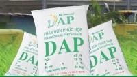 QBS thoái toàn bộ vốn tại DAP-Vinachem