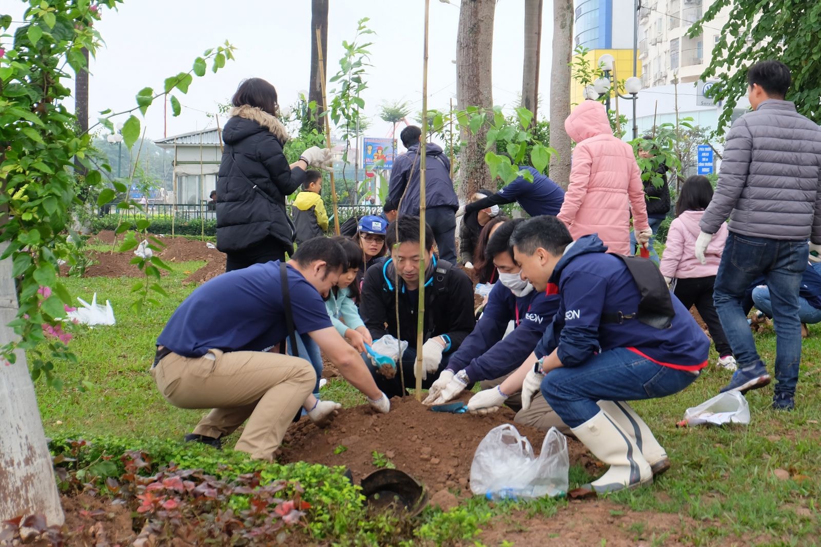 Hoa anh đào Nhật Bản được trồng tại Hà Nội được xem như là biểu tượng cho tình hữu nghị và quan hệ đối tác giữa hai nước.