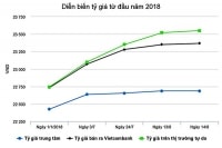 Giải pháp phòng ngừa rủi ro tỷ giá