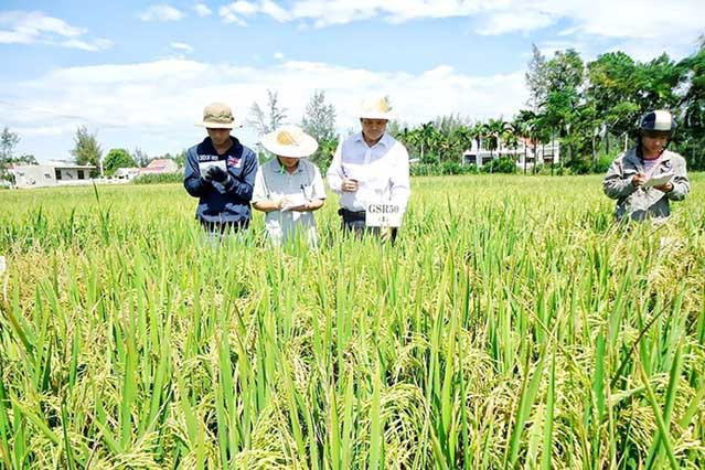 Các ngân hàng đã tham gia giảm lãi suất cho vay đối với các doanh nghiệp trong lĩnh vực nông nghiệp, nông thôn