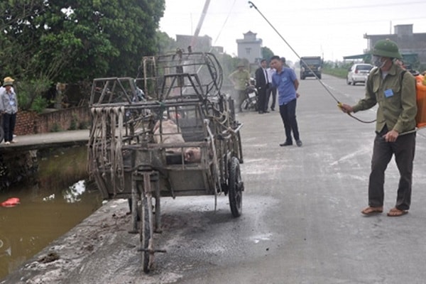 Lực lượng chức năng phun thuốc khử phương tiện chở lợn của gia đình ông Giáp