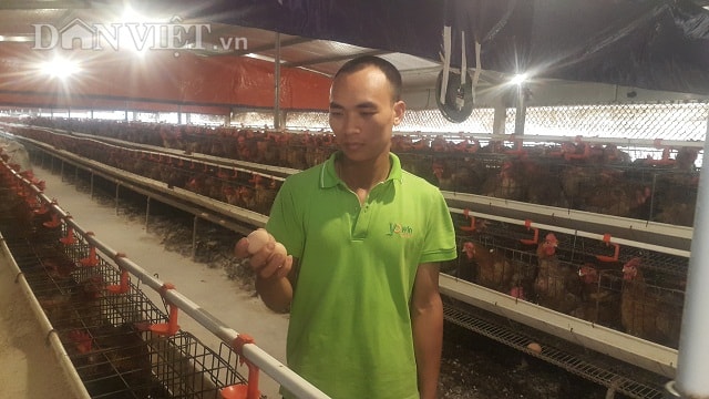 Nhờ nuôi gà lai chọi sinh sản mà mỗi năm gia đình anh Nguyễn Văn Trọng có thu nhập hàng trăm triệu đồng.