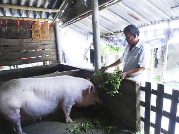 điểm bất hợp lý của Thông tư 02/2019 nằm ở chỗ áp dụng phương pháp quản lý “chọn cho”, tức là người dân chỉ được làm những gì pháp luật cho phép, thay vì “chọn bỏ”,