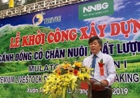 Nhà đầu tư đổ vốn lớn vào dự án trồng cỏ tại Sơn La