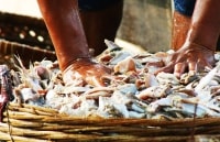 Nước mắm - Hiểu sao cho đúng