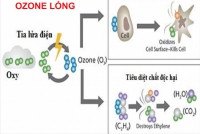 Startup TP.HCM dùng Ozone lỏng giúp đất nhiễm độc hồi sinh chỉ trong 1 tháng