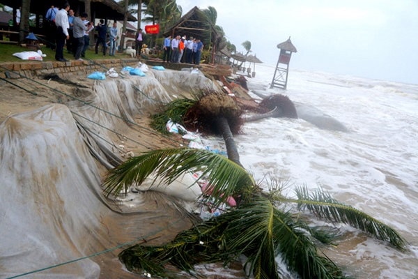 Bắt đầu từ năm 2013, tình trạng sạt lở bờ biển phía bắc Cửa Đại diễn ra ngày càng khốc liệt