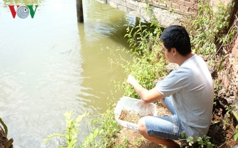 Trần Thanh Nghị đang ấp ủ kỳ vọng tìm chỗ đứng cho ngành cá cảnh Việt trong thị trường quốc tế