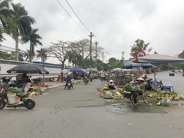 Ảnh chụp tại chợ rau đêm chân cầu An Dương (phường Lam Sơn, quận Lê Chân)