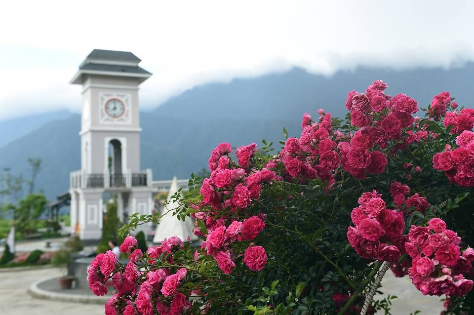 Cánh đồng hoa tím biếc tựa như vùng Provence nước Pháp trôi dạt tới, cánh đồng hoa cải vàng, cải trắng, thanh anh, cẩm tú cầu, vườn hồng cổ thơm ngát mang triệu đóa hồng nở bừng chào hạ… Sun World Fansipan Legend đang trở thành thiên đường hoa đẹp như trong cổ tích, khiến bất cứ ai đến nơi này cũng đều ngỡ ngàng. 