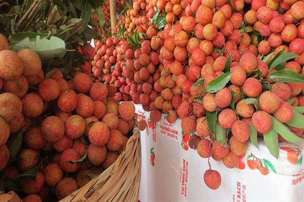  Công ty CP Nông sản Hưng Việt (Gia Lộc) và Công ty CP Kim Chính (TP Hải Dương)