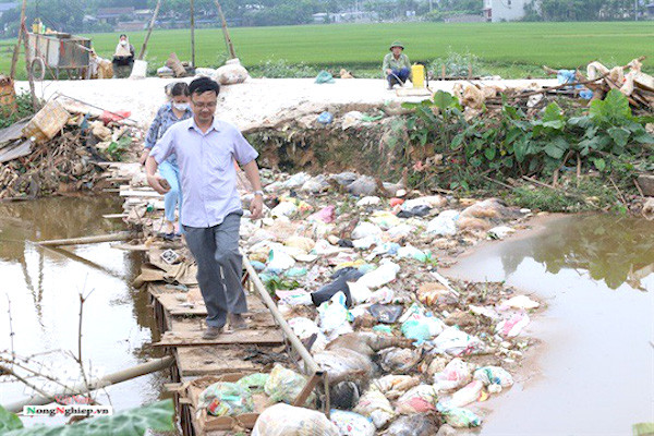 Lợn nhiễm dịch tả châu Phi bị vứt trôi sông. Ảnh: NNVN