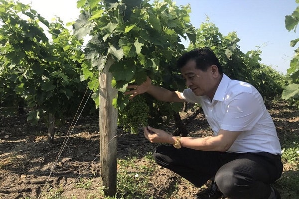 Chuyến đi thăm và làm việc của ông Tuyến tại Bordeaux- Pháp