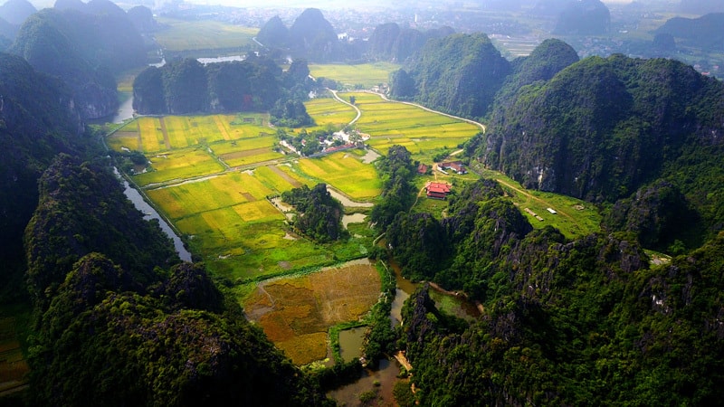 Khác với ruộng bậc thang, lúa ở miền Tây, lúa ở Tam Cốc nằm giữa sông và núi tạo thành một khung cảnh vừa nên thơ, vừa trữ tình lại không kém phần huyền ảo, cổ tích.