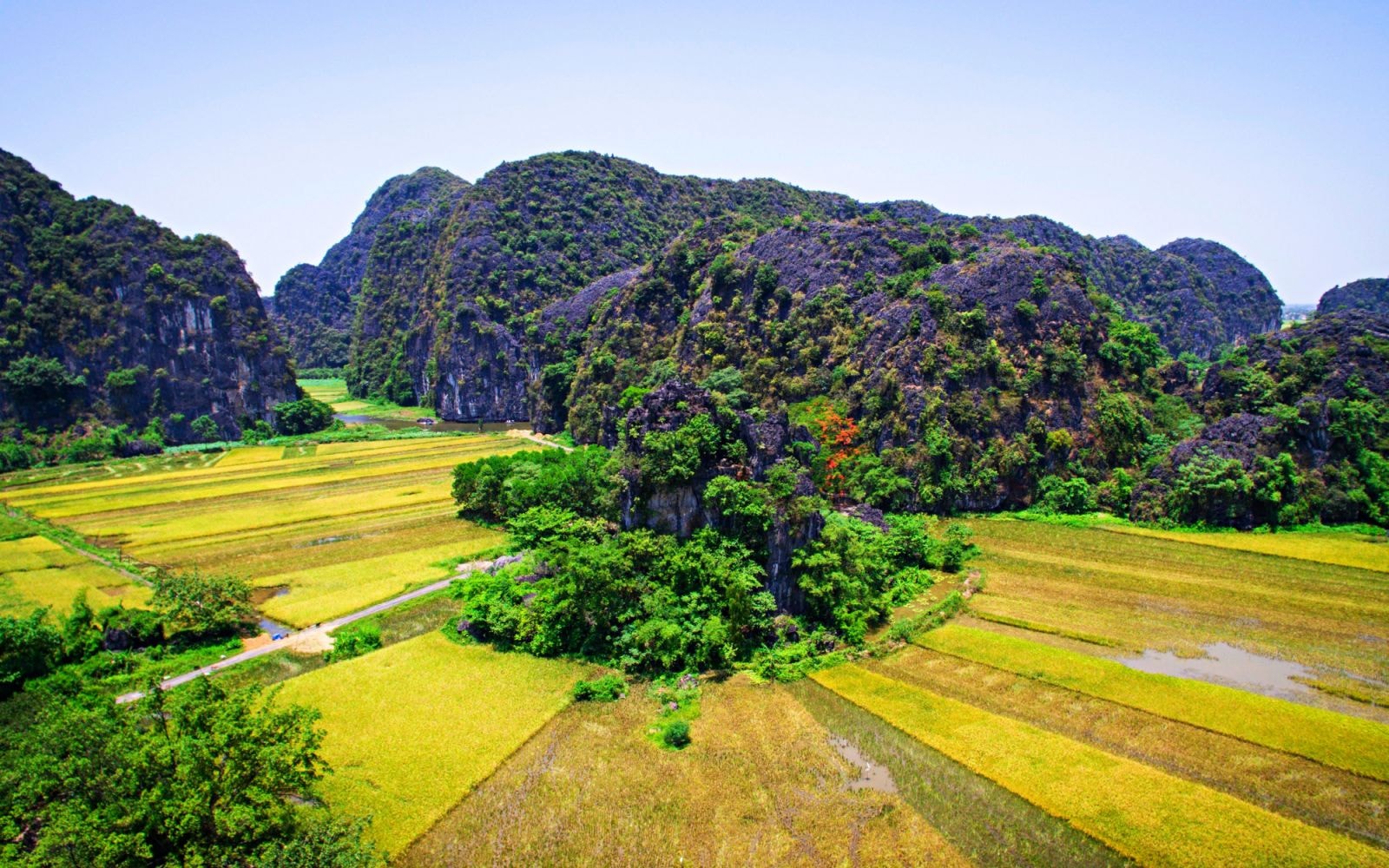 Trải dọc bên dòng sông Ngô Đông ở Tam Cốc là cánh đồng lúa. Không ít người từng mê mẩn khung cảnh nên thơ khi được chèo đò trên dòng sông hai bên là những cánh đồng lúa dưới chân núi đá.