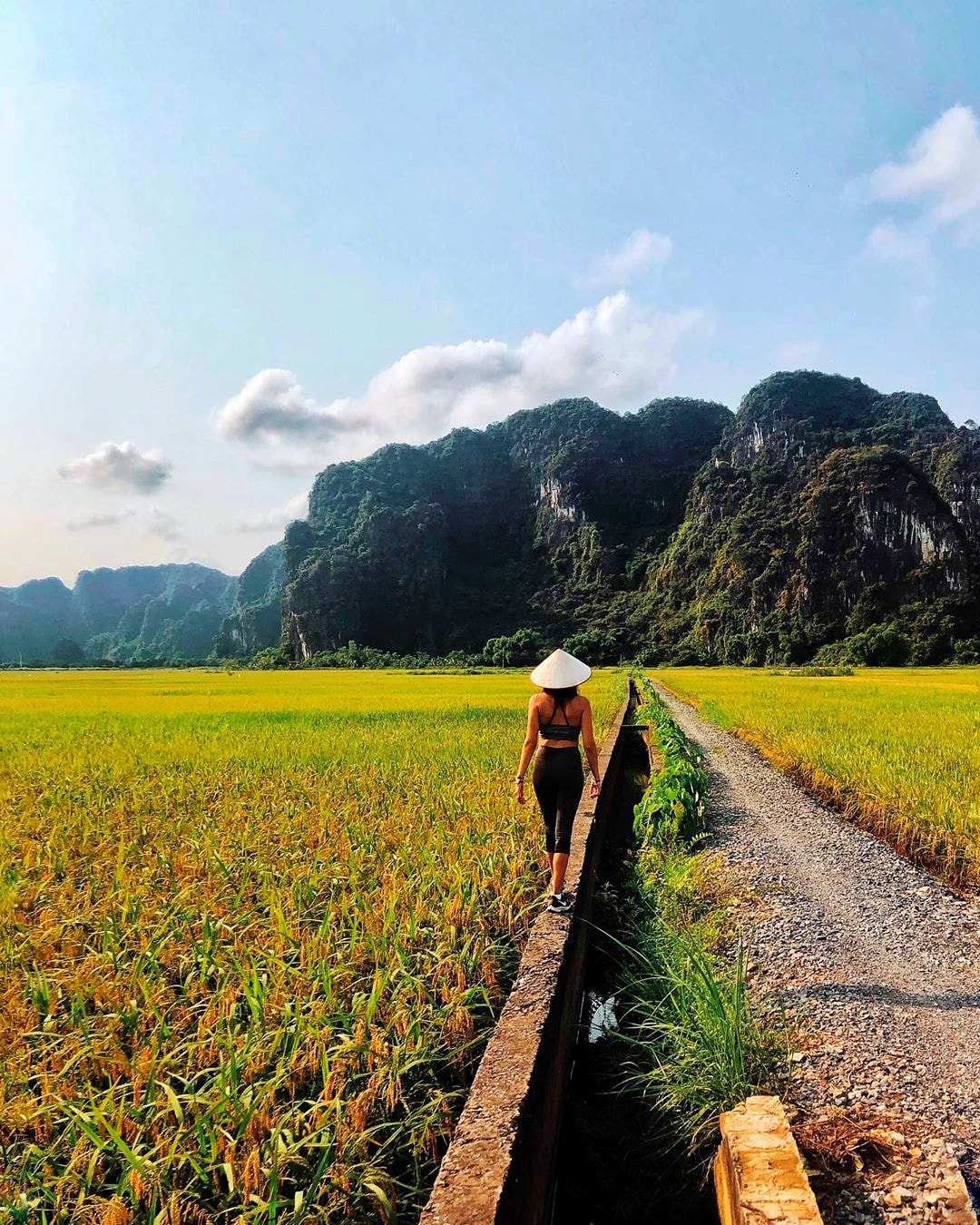 Nhắc đến những cánh đồng lúa chín đẹp bậc nhất Việt Nam, nhiều người sẽ nghĩ ngay đến những thửa ruộng bậc thang ở lưng chừng núi hay những cánh đồng trải dài bất tận ở miền Tây nhưng còn một địa điểm tuyệt đẹp khác đã nổi danh nhưng không phải ai cũng biết, lúa vàng ở Tam Cốc.