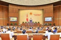 Phát sinh tiêu cực nếu Tổng Cục trưởng Thuế và Hải quan được quyền xóa nợ