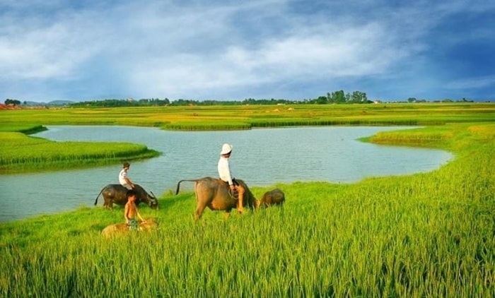 Không dám làm lớn, coi khinh cái bé nhỏ và không quan tâm cái bình thường (Hình minh họa)