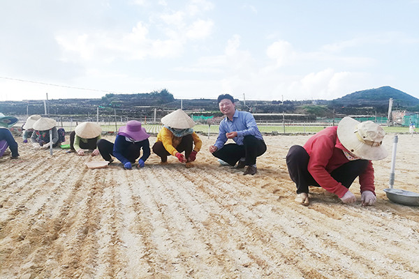 p/Ths Nguyễn Bình Phường trồng tỏi cùng nông dân trên đảo Lý Sơn.